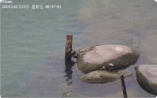 特殊水尺识别